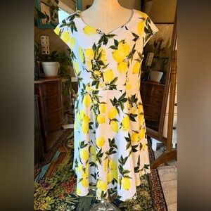 Kingfancy Lemon Print Fit And Flare Midi Dress, Pockets! Plus Size 3X